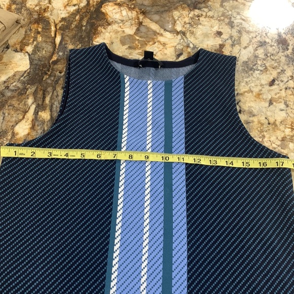 Ann Taylor Striped Sleeveless Sweater with fringe - Picture 8 of 8